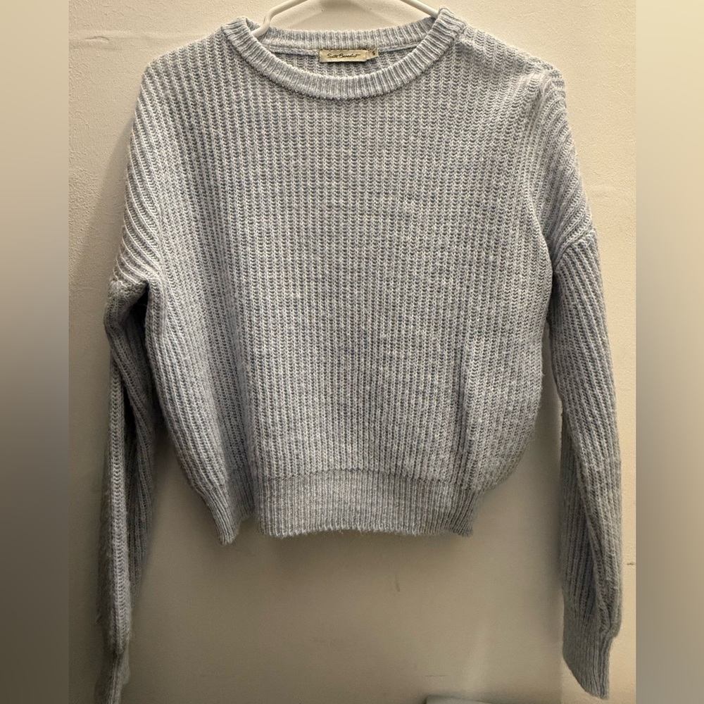 Brandy Melville cropped sweater in small!